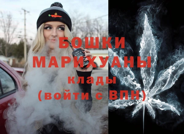 дмт Мегион