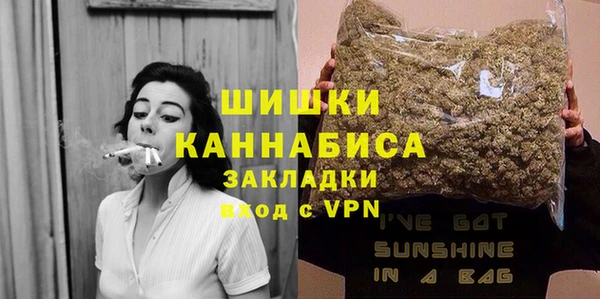 дмт Мегион